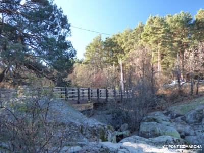 Cascadas Purgatorio;Bosque de Finlandia; fotos de paisajes con agua esquiar en cantabria pantano san